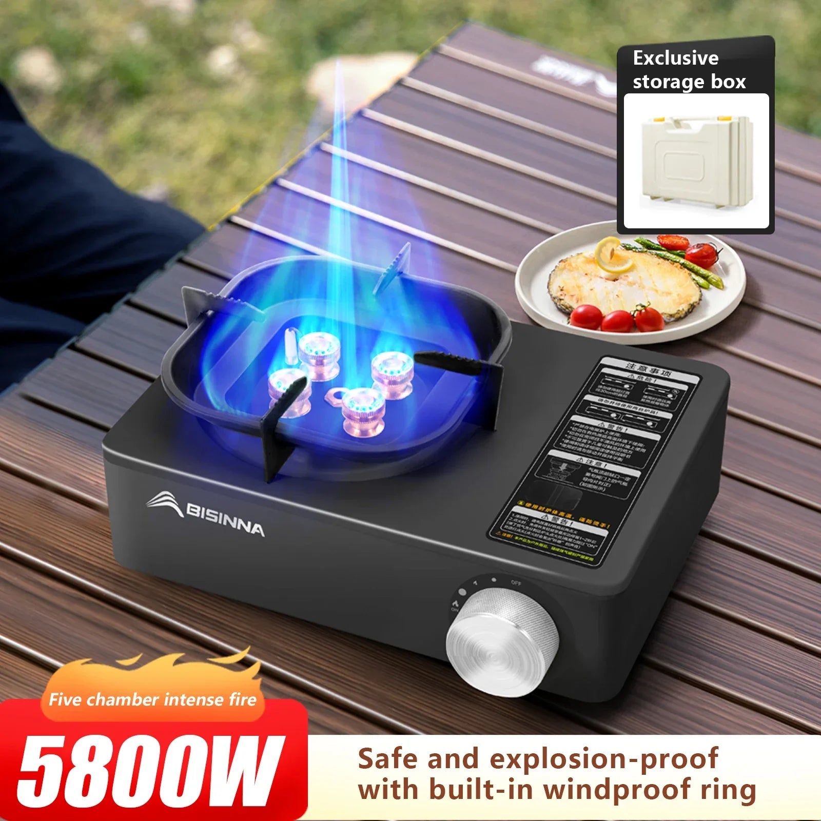 Camping Gas Stove