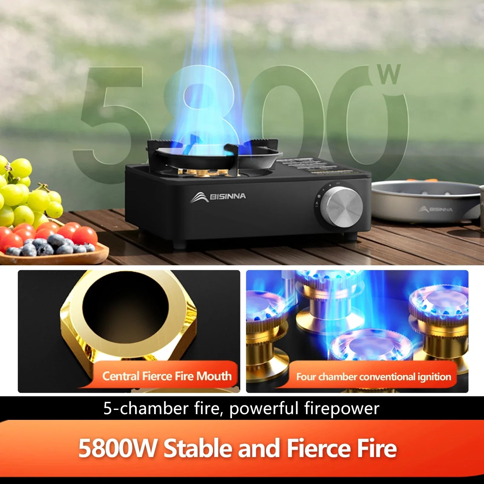 Camping Gas Stove