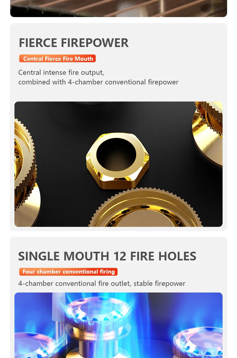 Camping Gas Stove